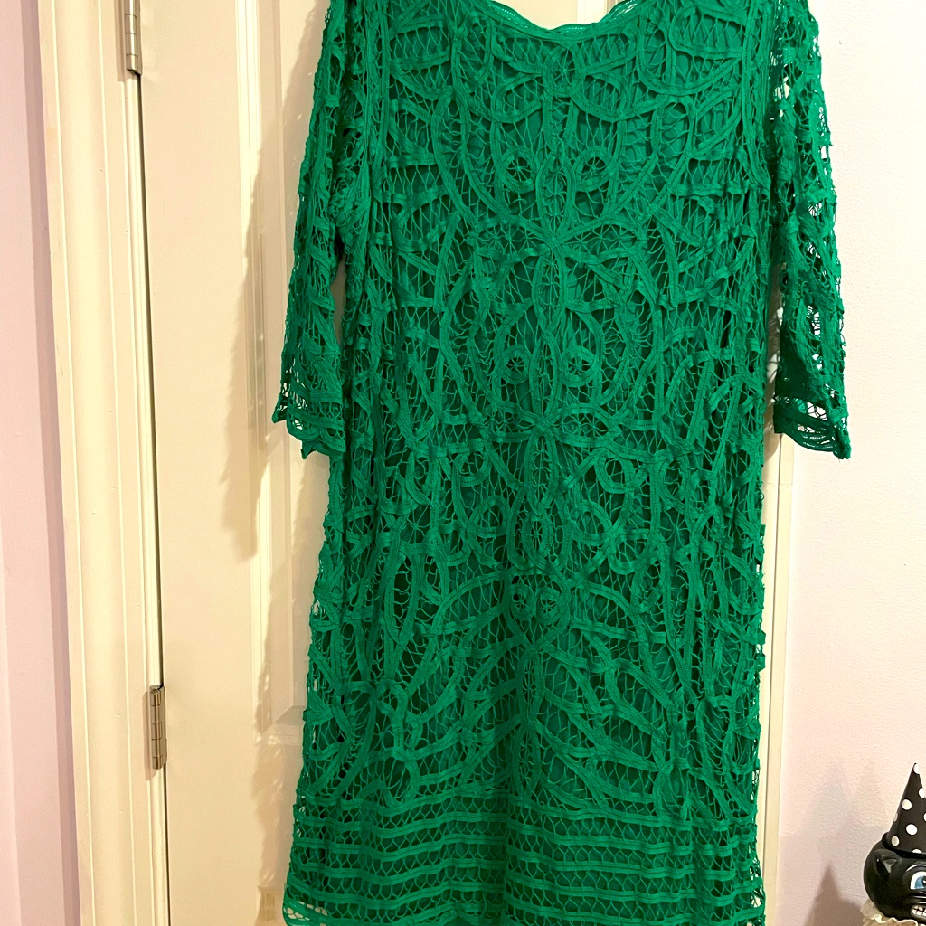 Inc International Concepts Green Lace Dress